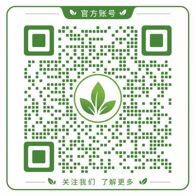 萝莉岛